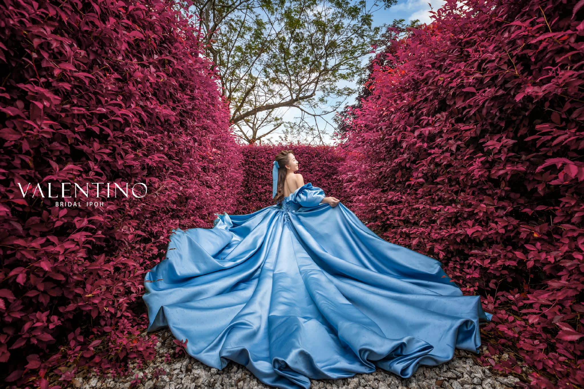 Album Cover Photo